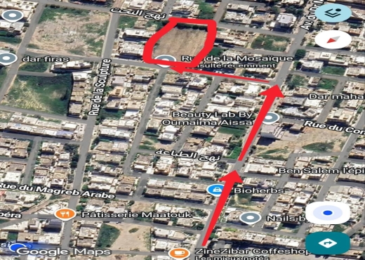 A Vendre 2 lots terrains a Dar Chaabene - Bien immobilier à {"id":16,"country_id":219,"name":"NABEUL","slug":"nabeul"} - Image 4 - Sonia Immo - Agence Immobilière Sonia Immo