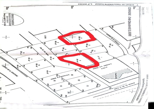 A Vendre 2 lots terrains a Dar Chaabene - Bien immobilier à {"id":16,"country_id":219,"name":"NABEUL","slug":"nabeul"} - Image 3 - Sonia Immo - Agence Immobilière Sonia Immo